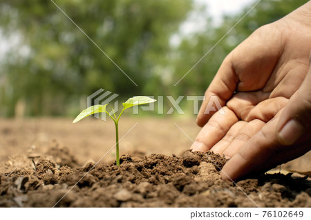 Close-up of a human hand holding a seedling including planting seedlings, Earth Day concept, global warming reduction campaign and managing ecological balance. 76102649