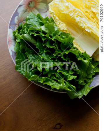 新鮮有機葉菜生菜和高麗菜 76102660