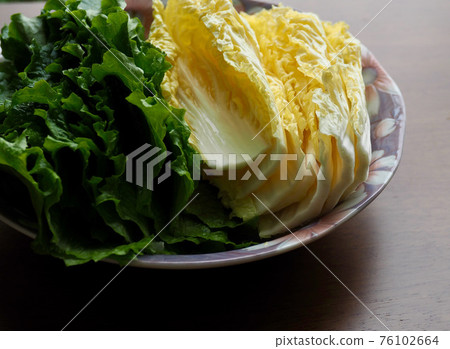 新鮮有機葉菜生菜和高麗菜 新鮮有機葉菜生菜和高麗菜 76102664