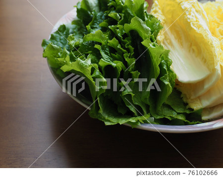 新鮮有機葉菜生菜和高麗菜 新鮮有機葉菜生菜和高麗菜 76102666