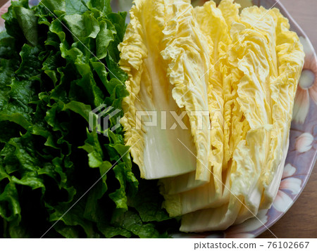 新鮮有機葉菜生菜和高麗菜 新鮮有機葉菜生菜和高麗菜 76102667