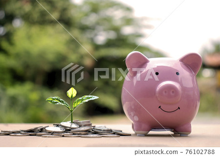 A sapling or a small tree that is planted on a pile of coins, including a piggy bank to save money, saving ideas and saving money. 76102788