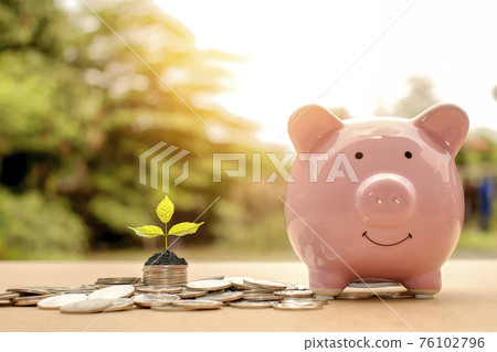 A sapling or a small tree that is planted on a pile of coins, including a piggy bank to save money, saving ideas and saving money. 76102796