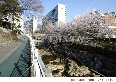 Jeongneunggol. Jeongneungcheon. Beotkkot. Alleyway. Walking path Jeongneunggol. Jeongneungcheon. Beotkkot. Alleyway. Walking path 76104519