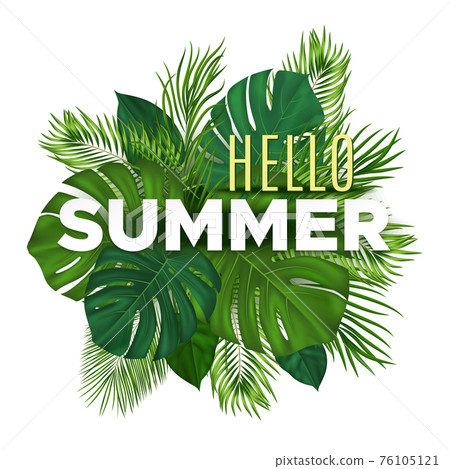 Summer tropical banner with green palm leaves on white background. Vector plant background for leaflet, banner, printing. 76105121