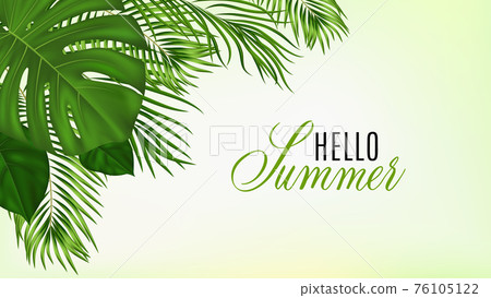 Summer tropical background with green palm leaves. Exotic botanical design with jungle plants for invitation, banner, poster. Vector illustration Summer tropical background with green palm leaves. Exotic botanical design with jungle plants for invitation, banner, poster. Vector illustration 76105122