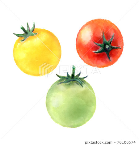 多彩的櫻桃番茄的插圖 76106574