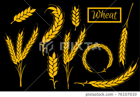 Set Wheat Ears Icons and Logo. Organic wheat, bread agriculture. Set Wheat Ears Icons and Logo. Organic wheat, bread agriculture. 76107010