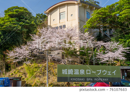櫻花盛開的城崎溫泉纜車 櫻花盛開的城崎溫泉纜車 76107683