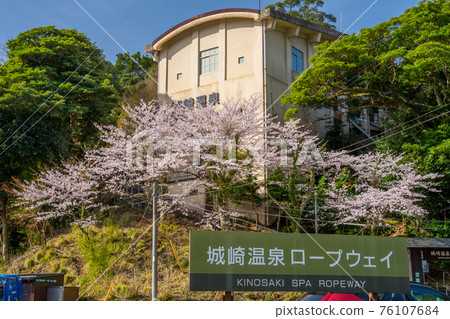 櫻花盛開的城崎溫泉纜車 櫻花盛開的城崎溫泉纜車 76107684