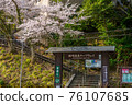 櫻花盛開的城崎溫泉纜車 76107685