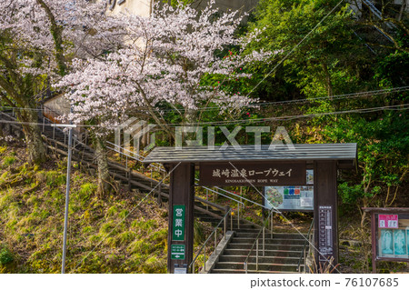 櫻花盛開的城崎溫泉纜車 櫻花盛開的城崎溫泉纜車 76107685