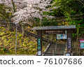 櫻花盛開的城崎溫泉纜車 76107686