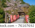 櫻花盛開的城崎溫泉溫泉寺 76107692