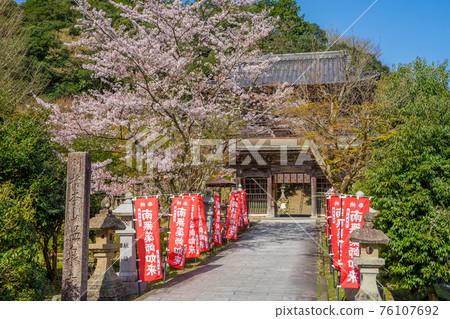 櫻花盛開的城崎溫泉溫泉寺 櫻花盛開的城崎溫泉溫泉寺 76107692