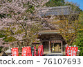 櫻花盛開的城崎溫泉溫泉寺 76107693