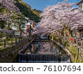 櫻花盛開的城崎溫泉溫泉寺 76107694