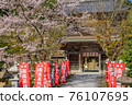 櫻花盛開的城崎溫泉溫泉寺 76107695