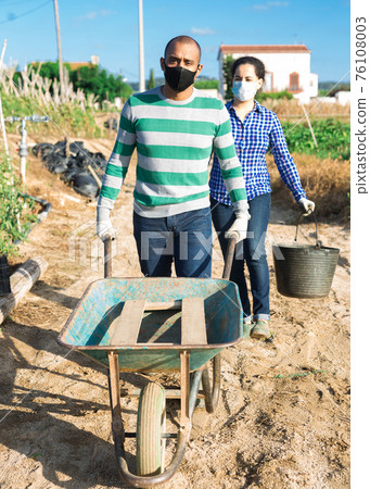 Farm workers in protective masks carrying wheelbarrow and bucket 76108003