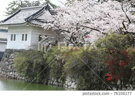 Tower Tower 76108177