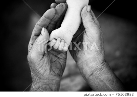 youth and old age. Hands of grandmother and granddaughter youth and old age. Hands of grandmother and granddaughter 76108988