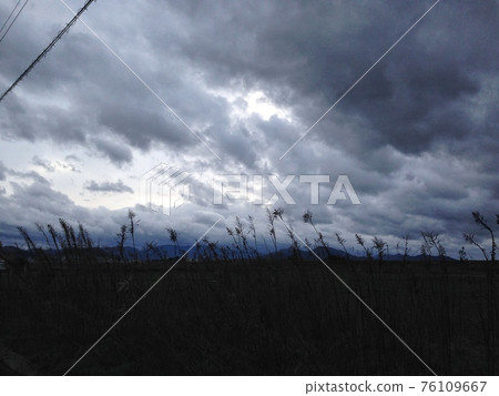 雲和草 雲和草 76109667