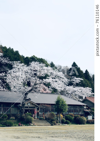 茨城縣醍醐町春天的原宇和岡小學 76110146