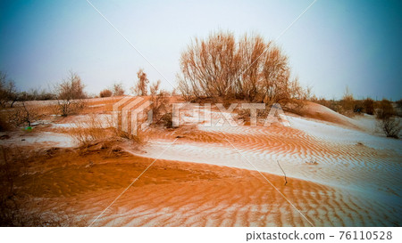 Snow in the Kyzylkum desert, Uzbekistan Snow in the Kyzylkum desert, Uzbekistan 76110528