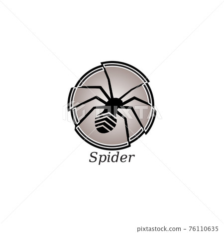 spider 76110635