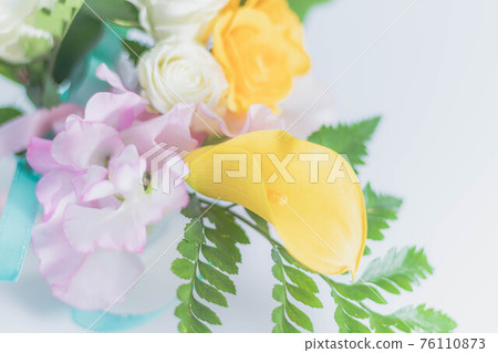 Pastel color-4 Pastel color-4 76110873