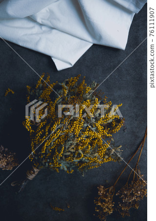 含羞草乾花 76111907