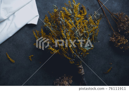 含羞草乾花 含羞草乾花 76111911