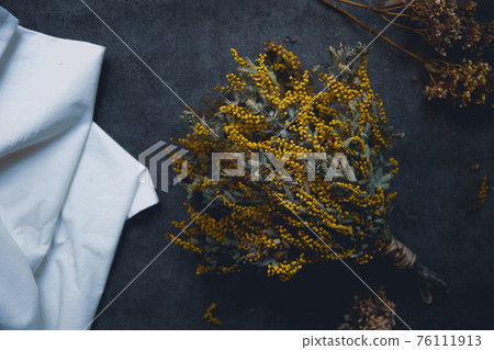 含羞草乾花 含羞草乾花 76111913