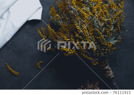 含羞草乾花 76111915