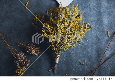 含羞草乾花 76111917