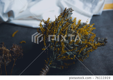 含羞草乾花 76111919