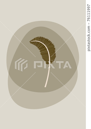 tropical leaves. Outline Modern Boho Minimalist Style. Vector Illustration. For printing on t-shirt, Web Design, beauty Salons, Posters, creating a logo. tropical leaves. Outline Modern Boho Minimalist Style. Vector Illustration. For printing on t-shirt, Web Design, beauty Salons, Posters, creating a logo. 76111997