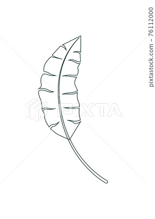tropical leaf in the style of an outline. vector illustration on a white background icon tropical leaf in the style of an outline. vector illustration on a white background icon 76112000