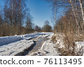Country road in early spring 76113495