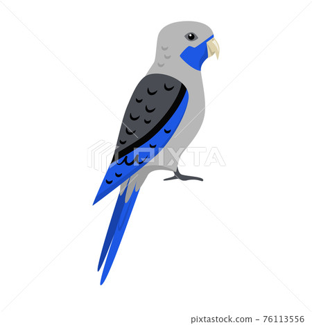 Blue rosella parrot icon in flat style Blue rosella parrot icon in flat style 76113556