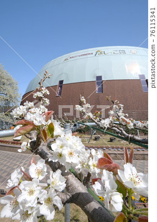 None child museum womans blue sky 76115341