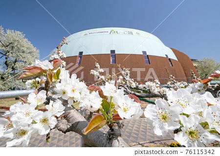 None child museum womans blue sky None child museum womans blue sky 76115342