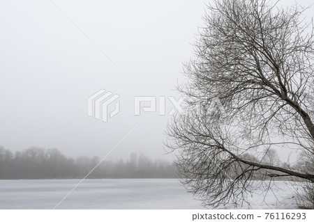 Foggy morning on the shore of a frozen lake Foggy morning on the shore of a frozen lake 76116293