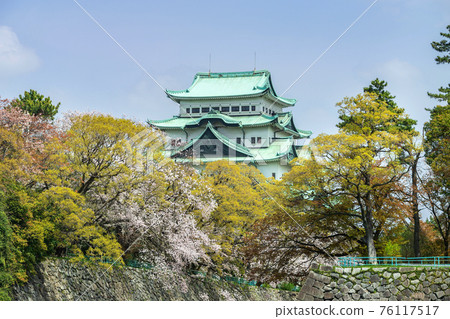 名古屋城無金镲(2021 年 4 月) 名古屋城無金镲(2021 年 4 月) 76117517