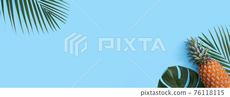 鳳梨 熱帶 葉子 蓬萊蕉 背景 龜背葉 pineapple background パイナップル 76118115