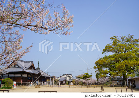 Sakura Nagao Temple (Shikoku 88 Pilgrimage Sacred Ground No. 87) 76118405