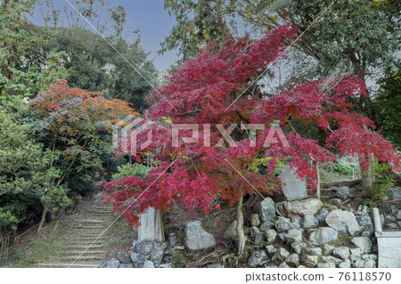 Autumn leaves in the mountains behind the Kannon-do Temple 76118570