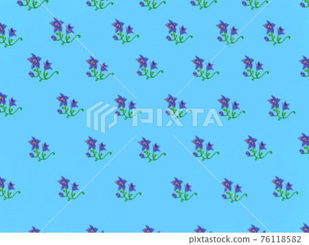淺藍色背景和紫色花梗 淺藍色背景和紫色花梗 76118582