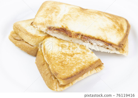 Delicious hot sandwich Delicious hot sandwich 76119416