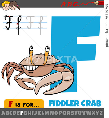 letter F from alphabet with cartoon fiddler crab animal letter F from alphabet with cartoon fiddler crab animal 76119795